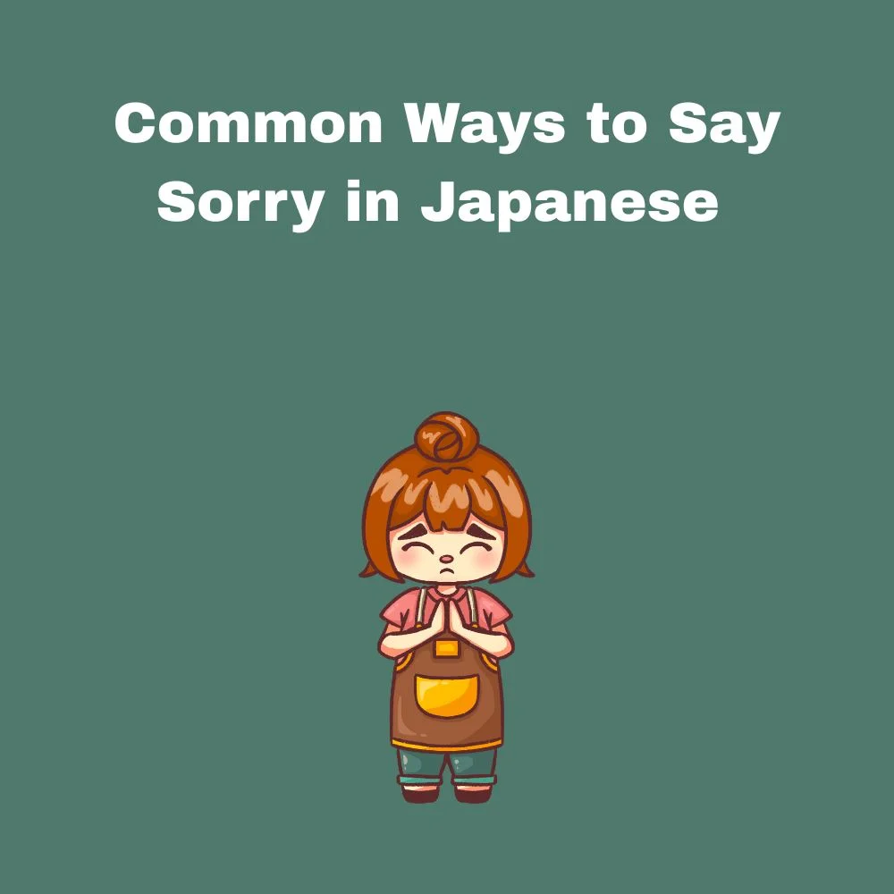 Common Ways to Say Sorry in Japanese 