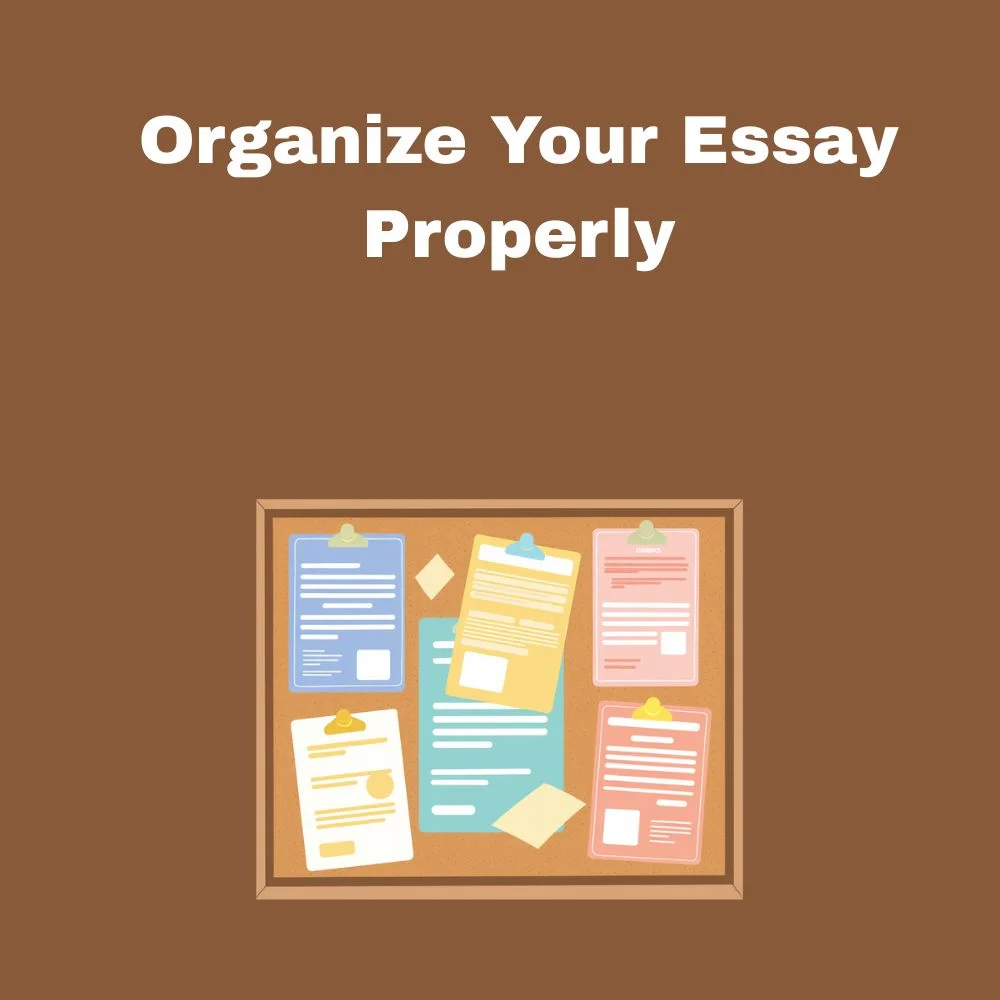 Organize Your Essay Properly