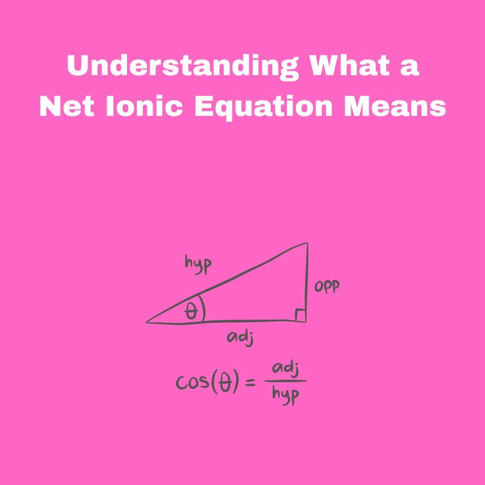 Understanding What a Net Ionic Equation Means