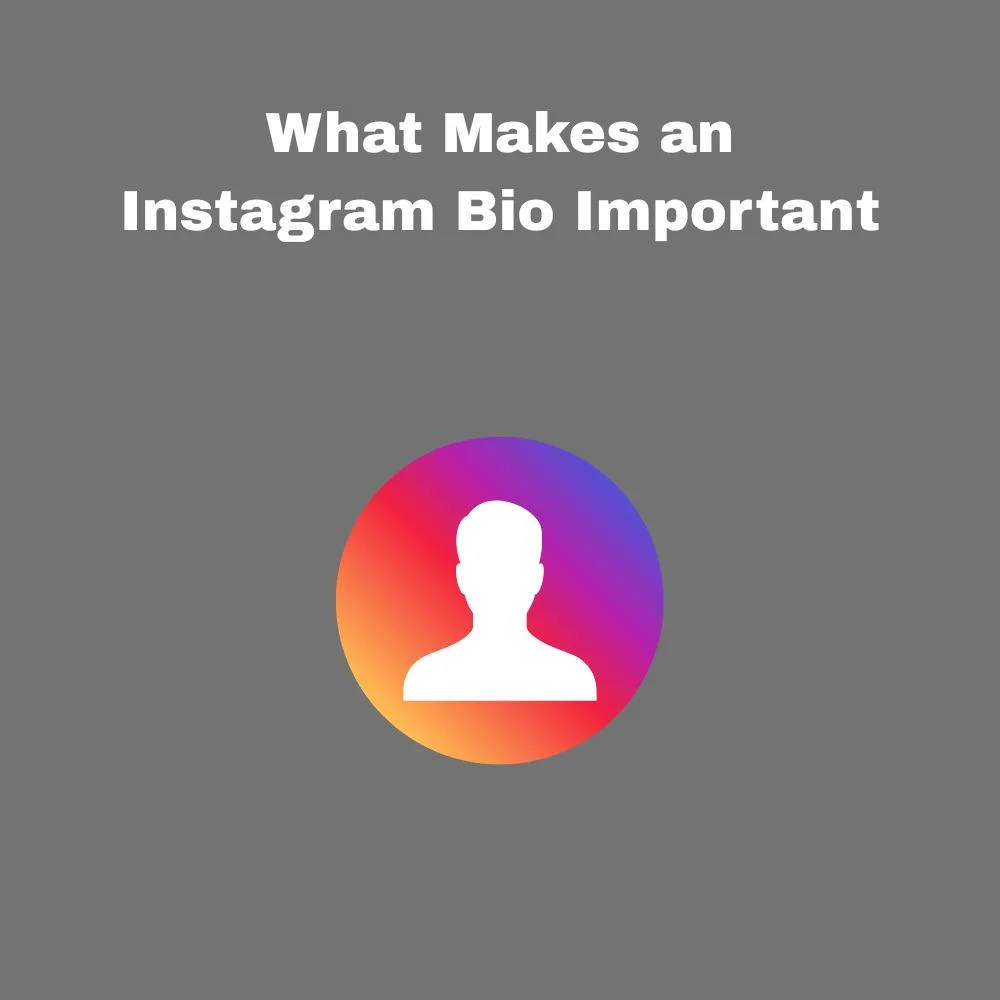 What Makes an Instagram Bio Important